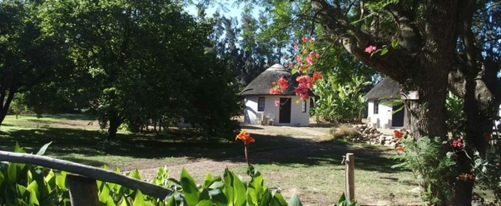 Addo African Home