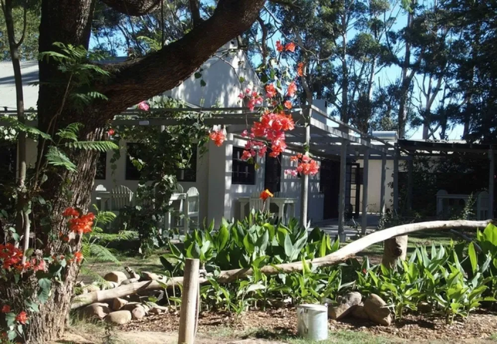 Addo African Home