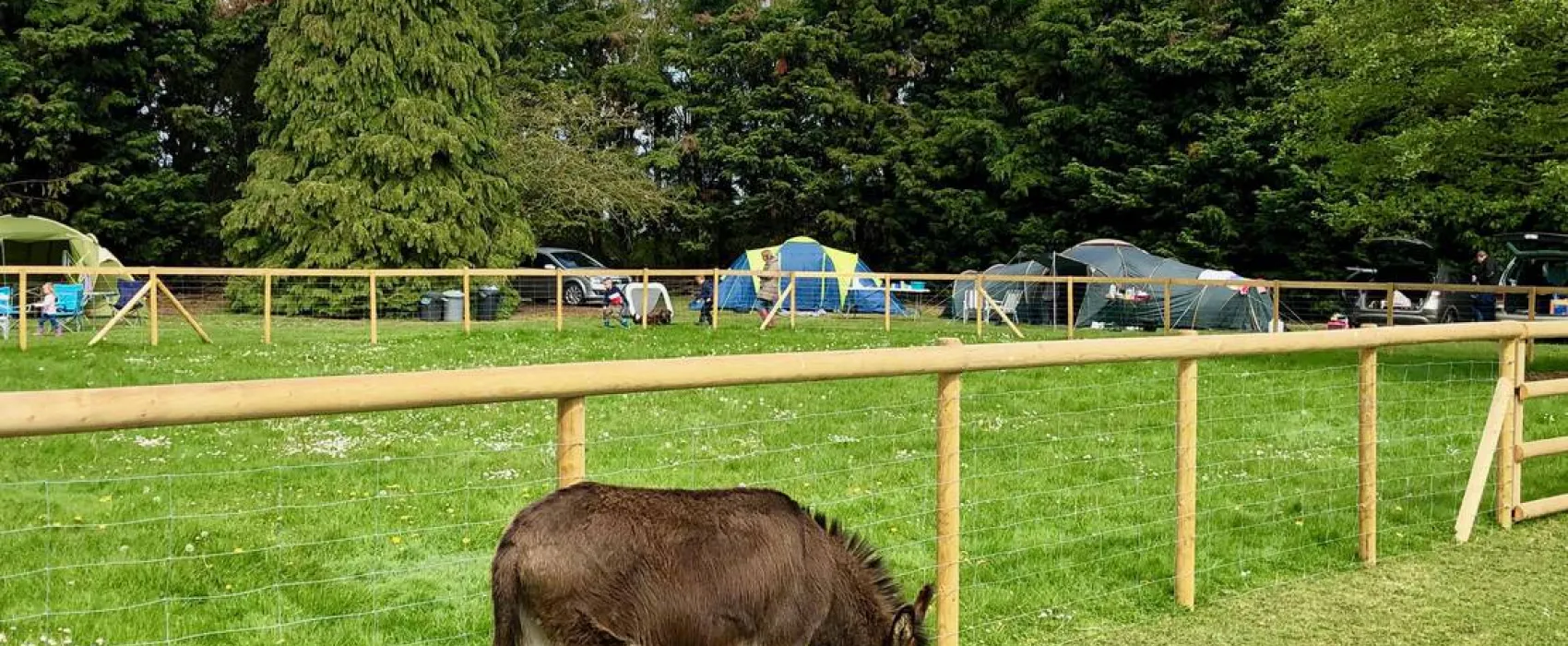 Laurel Park Campsite