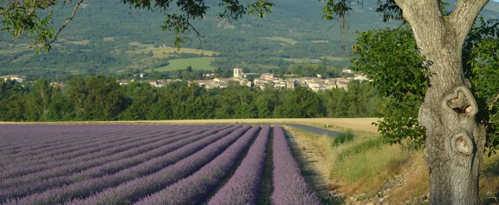 Camping Les Myotis ***