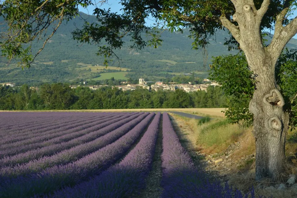 Camping Les Myotis ***