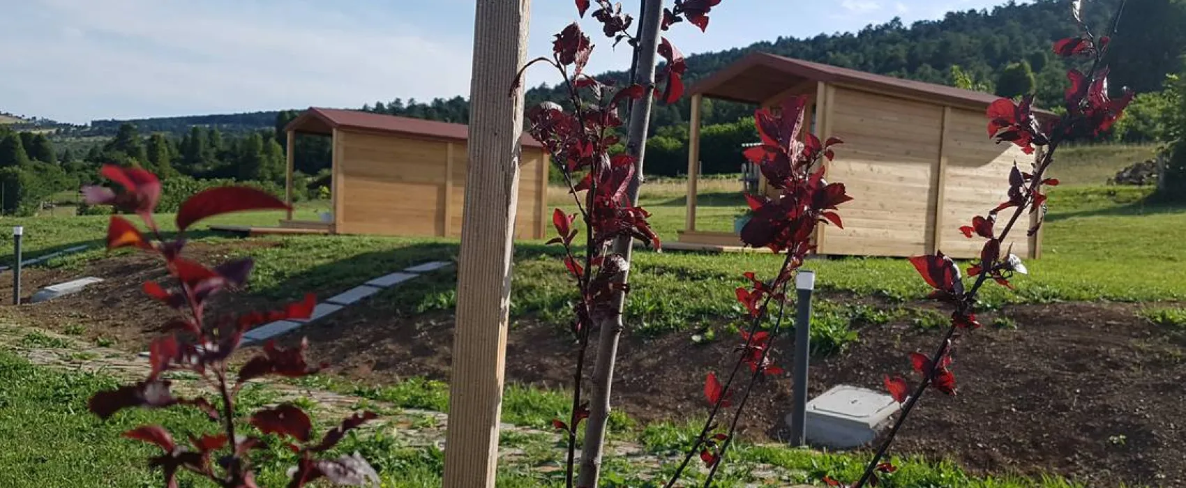 Camping & glamping The Sunrise Hill Pivka