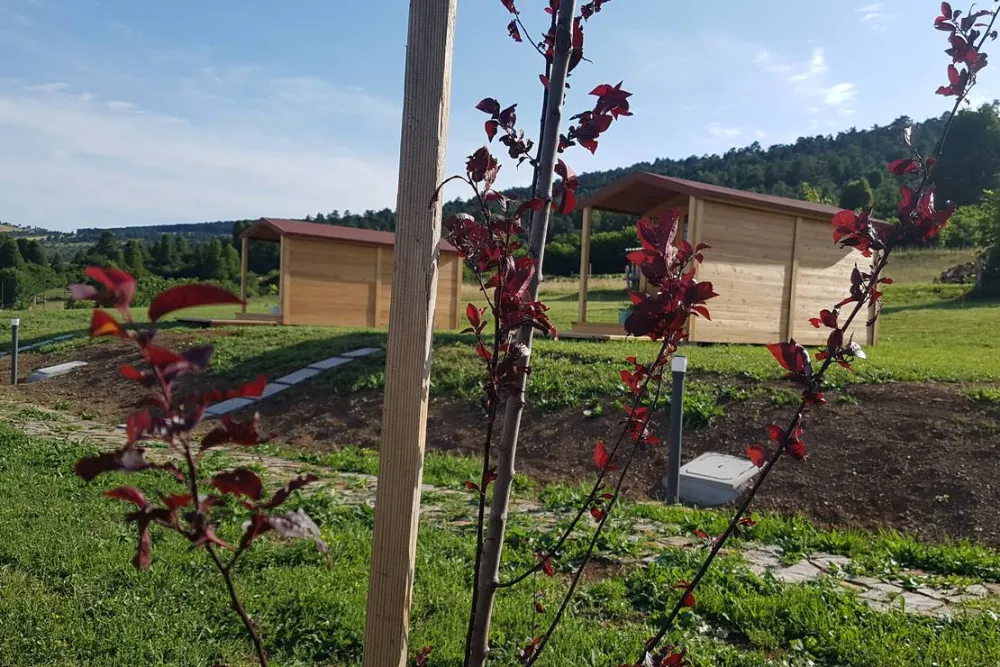 Camping & glamping The Sunrise Hill Pivka