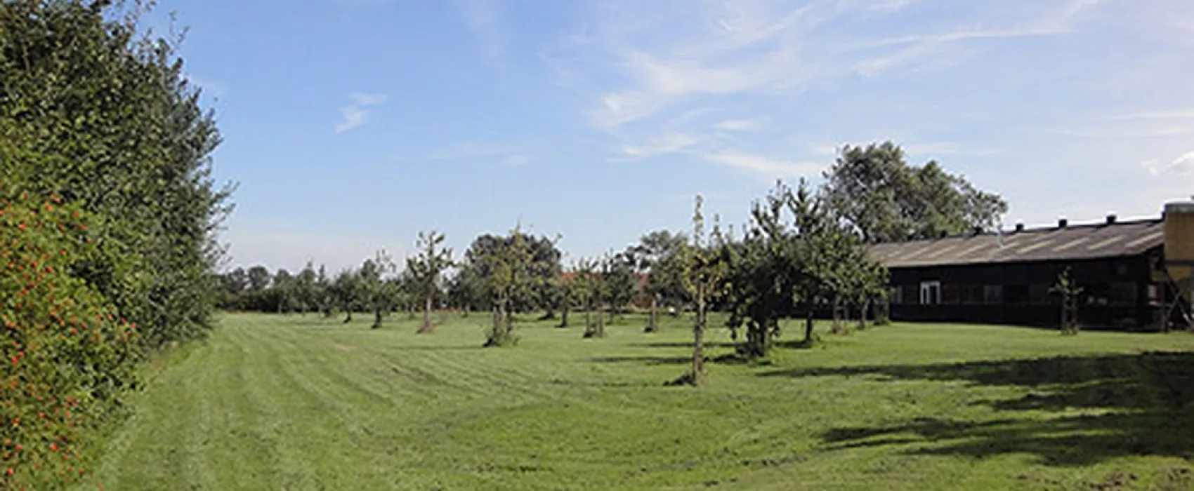 Minicamping De Vijver