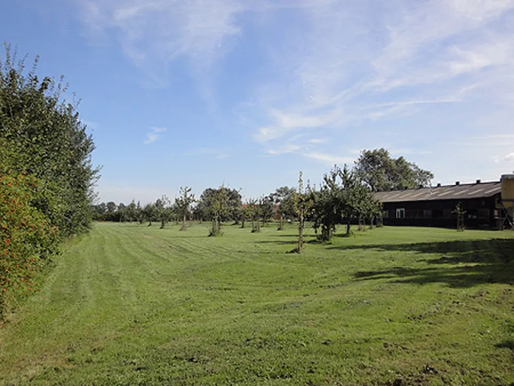 Minicamping De Vijver