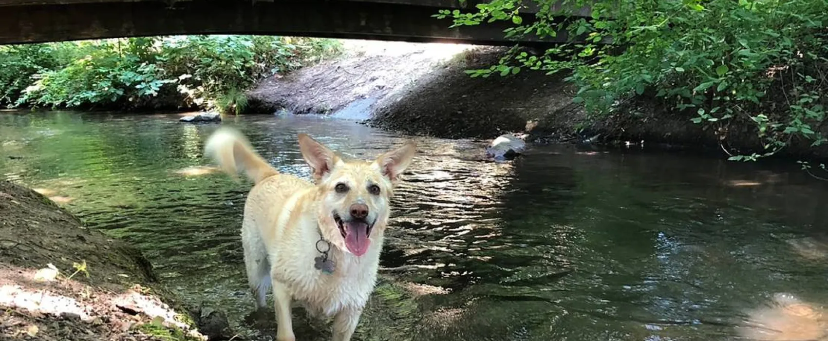 Camping Lörrach - Drei-Länder-Camp