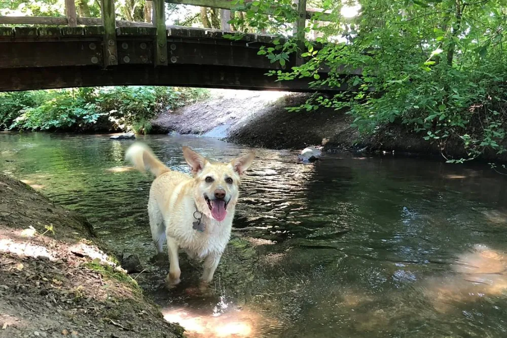 Camping Lörrach - Drei-Länder-Camp