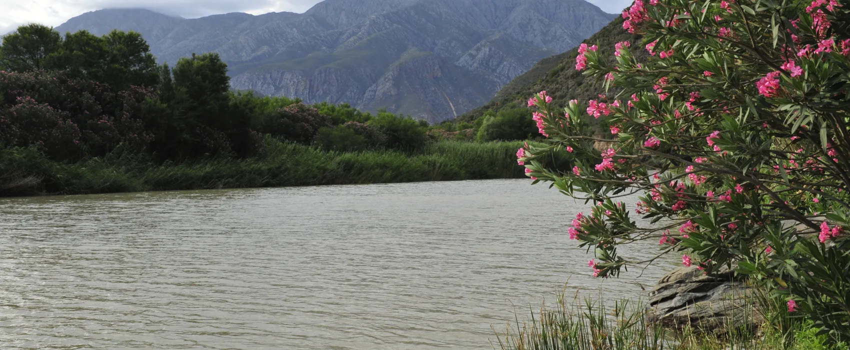 Die Dam River Camp (Matjiesvlei)