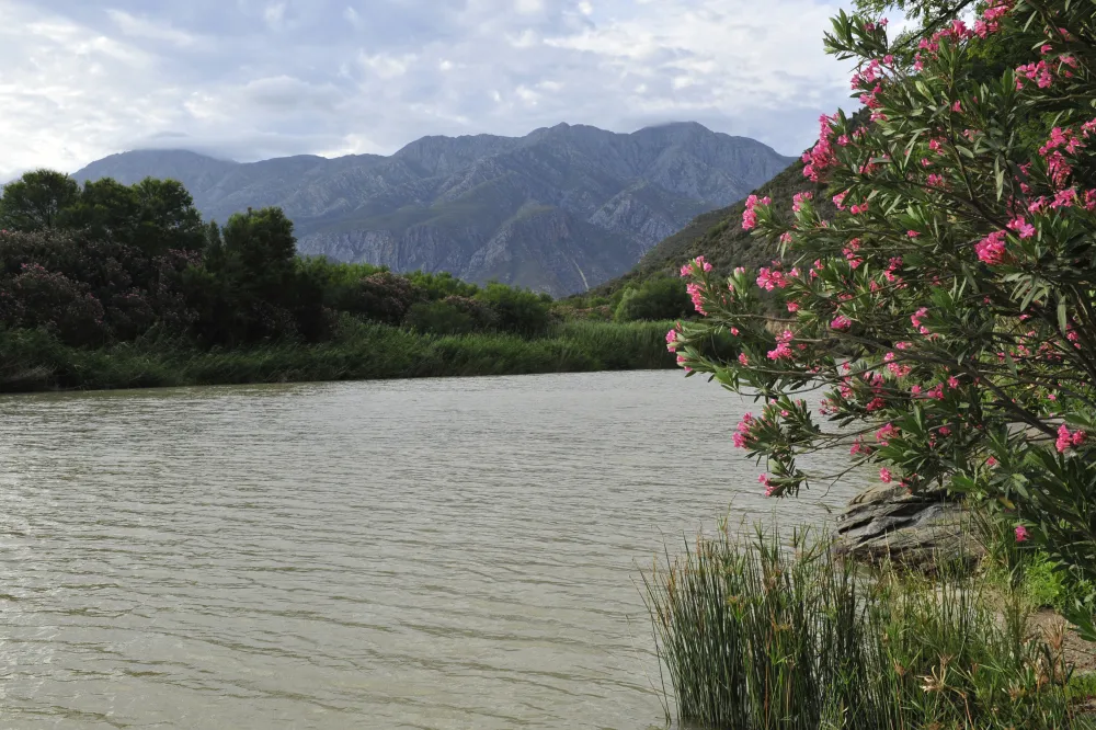 Die Dam River Camp (Matjiesvlei)