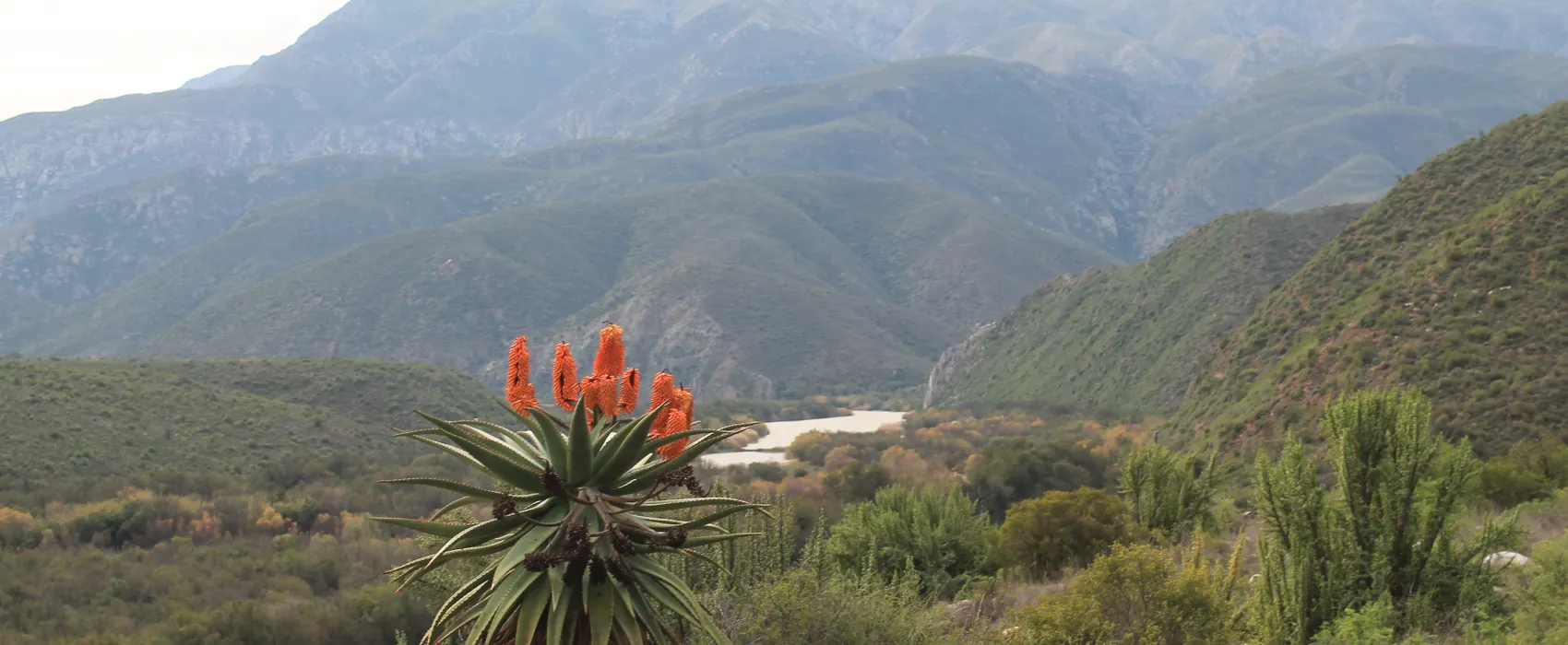 Die Dam River Camp (Matjiesvlei)