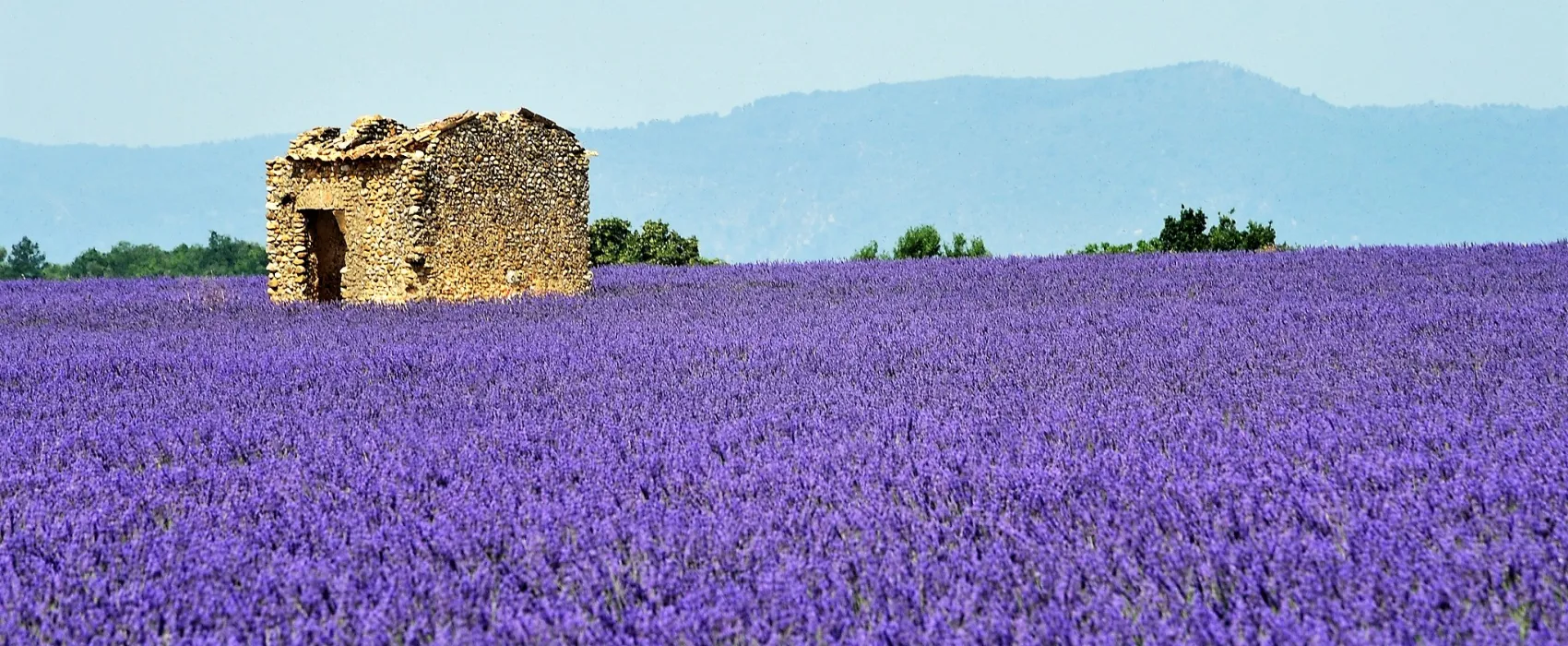 Domaine du Petit Arlane