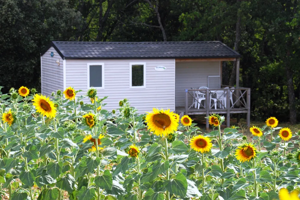 Domaine du Petit Arlane