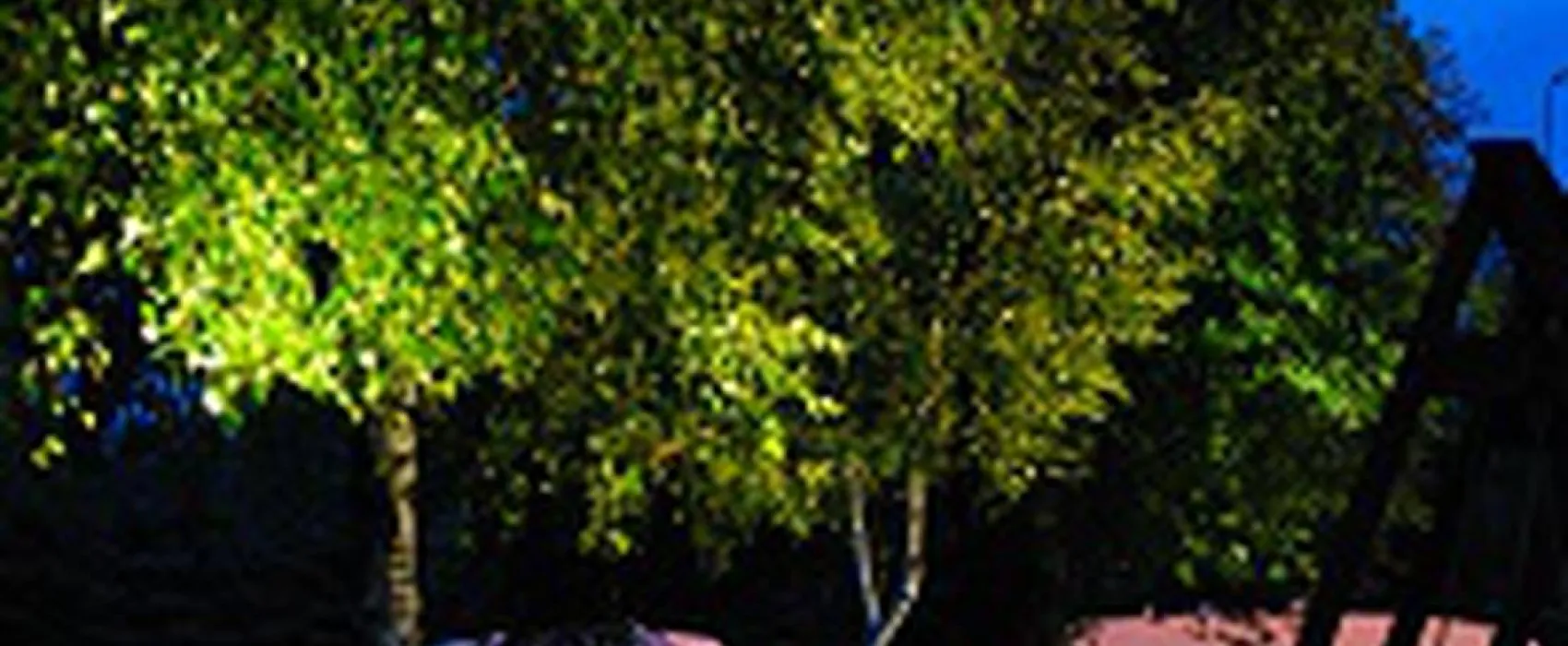 Ośrodek Wypoczynkowy KARINA