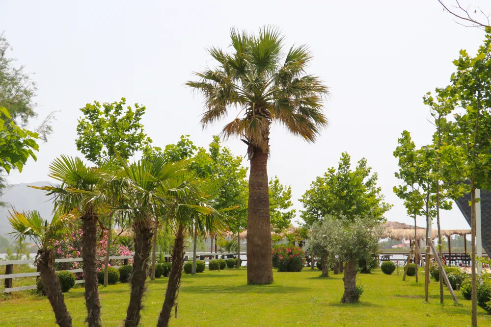 Camping Restaurant Ada Vilu