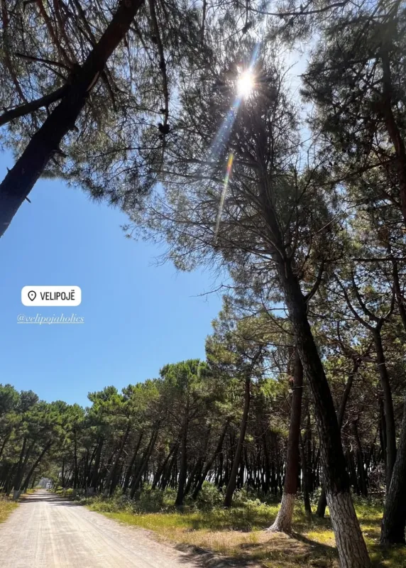 Camping Restaurant Ada Vilu