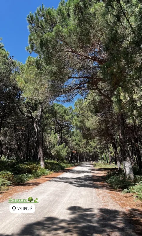 Camping Restaurant Ada Vilu