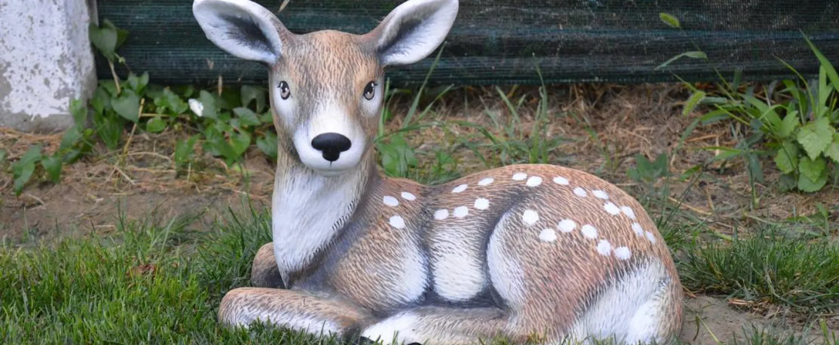 Sunny Paradise Campsite