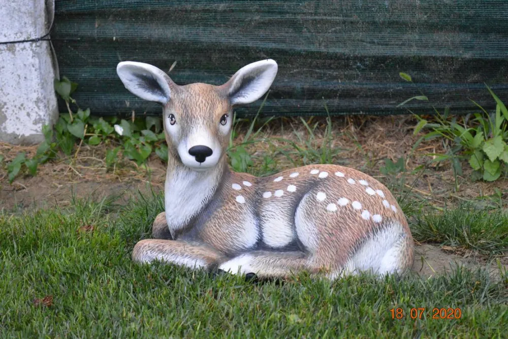 Sunny Paradise Campsite