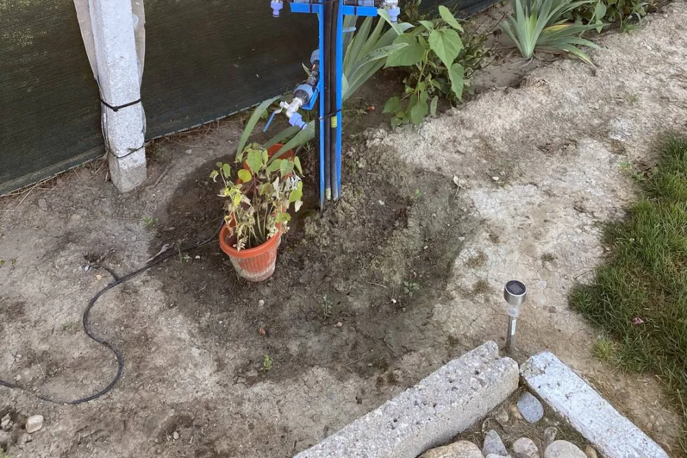 Sunny Paradise Campsite