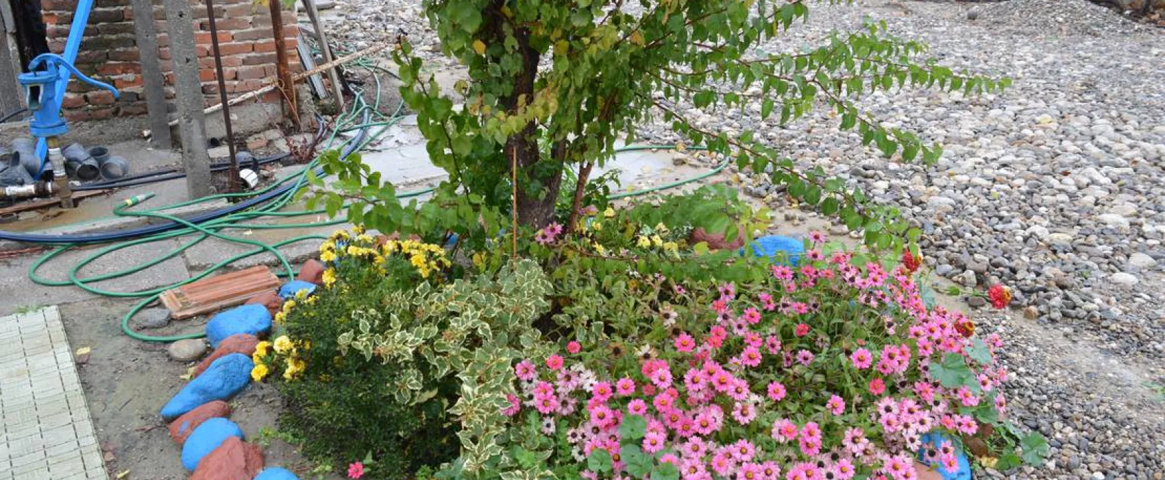 Sunny Paradise Campsite