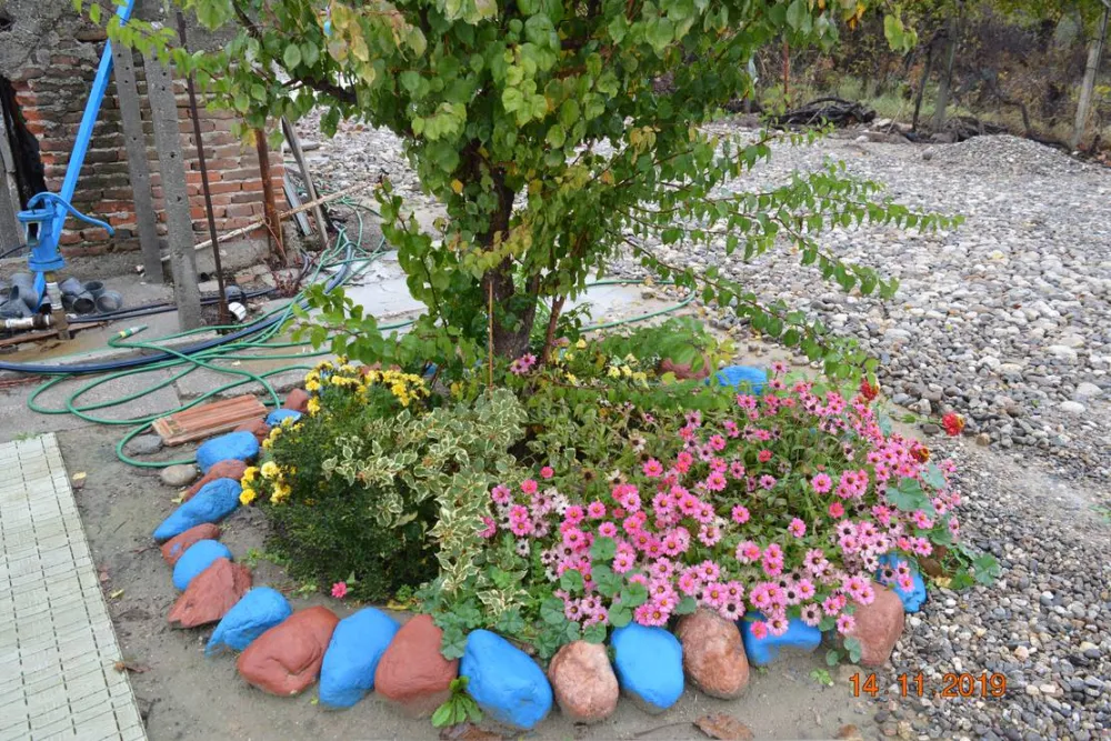 Sunny Paradise Campsite