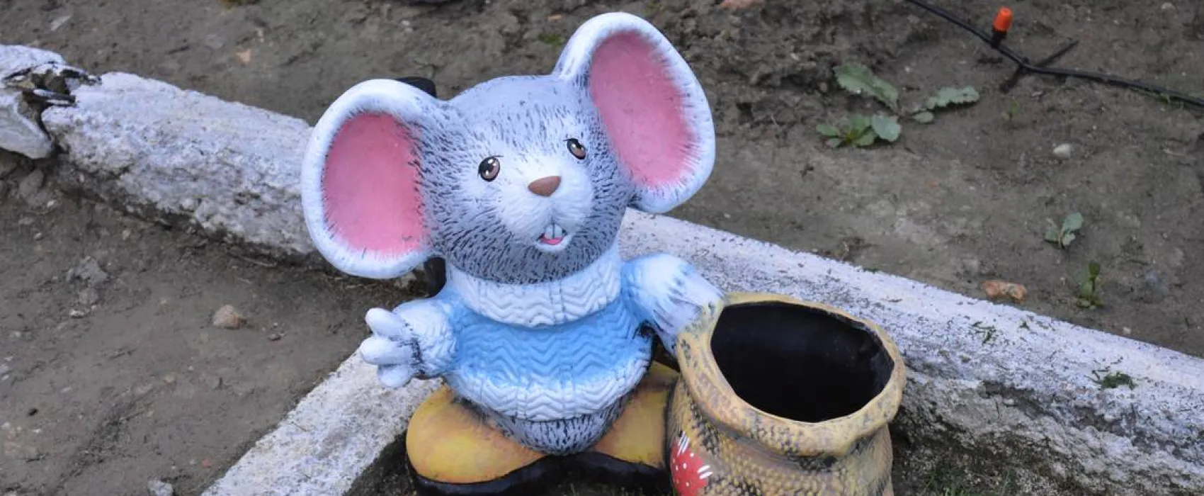 Sunny Paradise Campsite