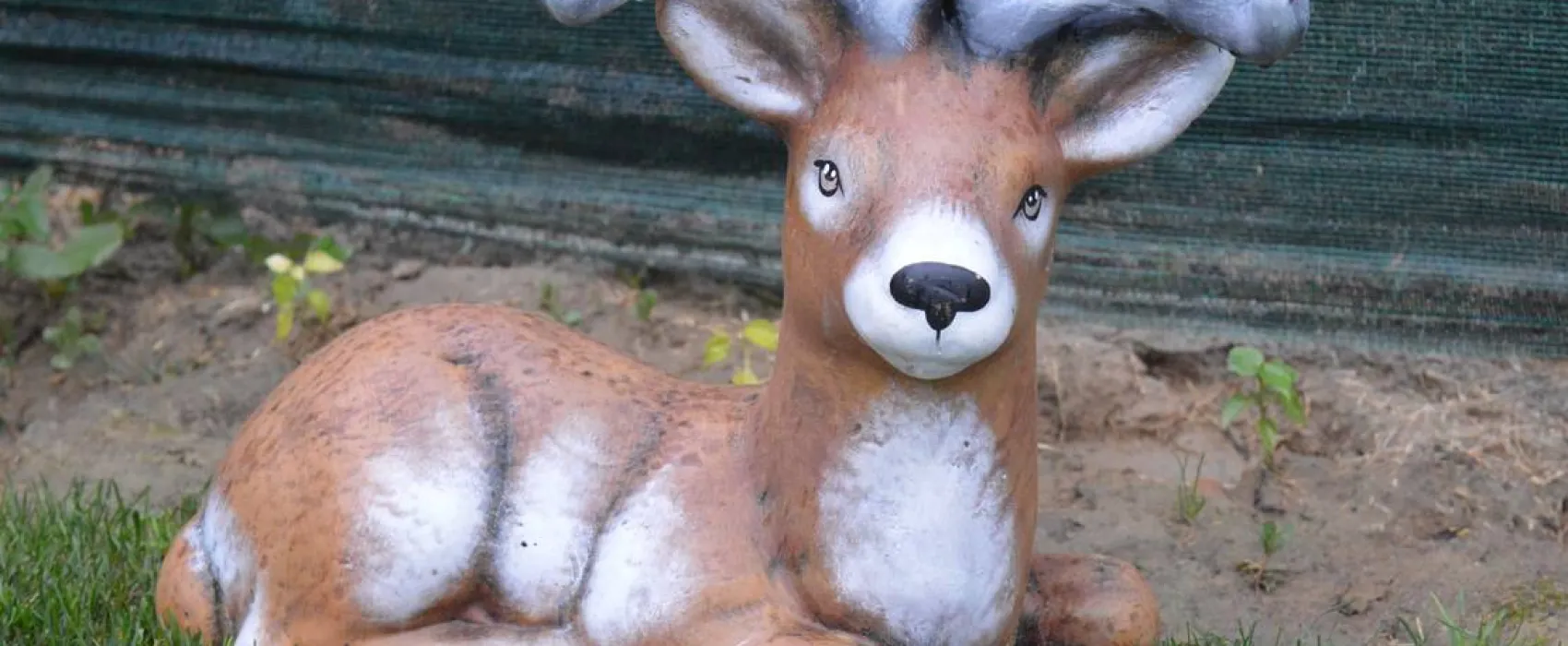 Sunny Paradise Campsite