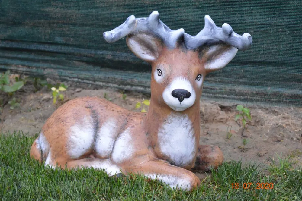 Sunny Paradise Campsite