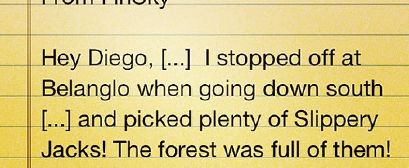 Daleys Clearing Campground