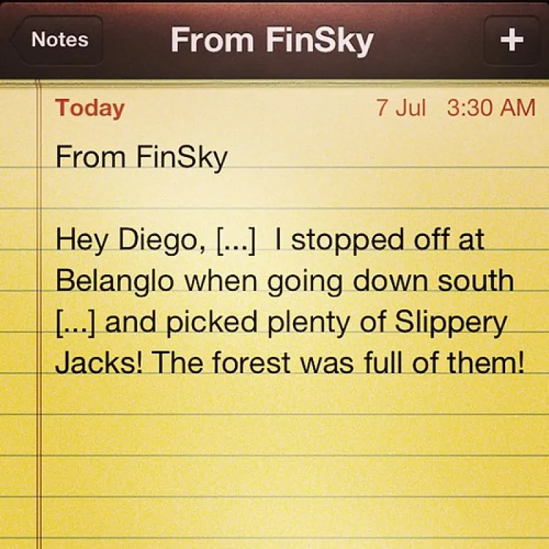 Daleys Clearing Campground