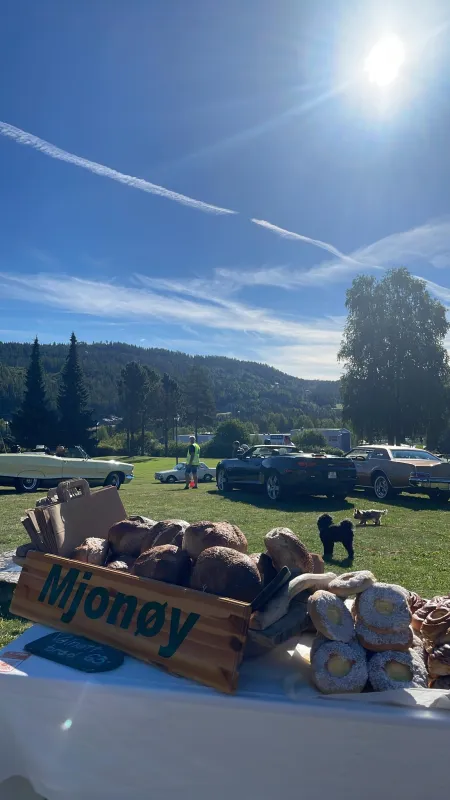 Mjonøy Camping