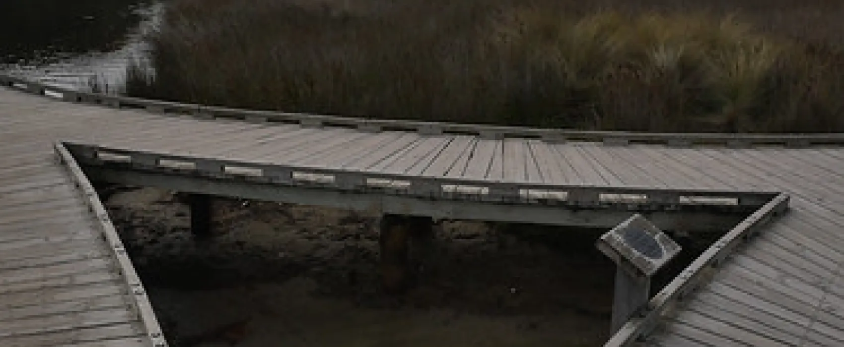 Tidal River Wilsons Promontory Campground