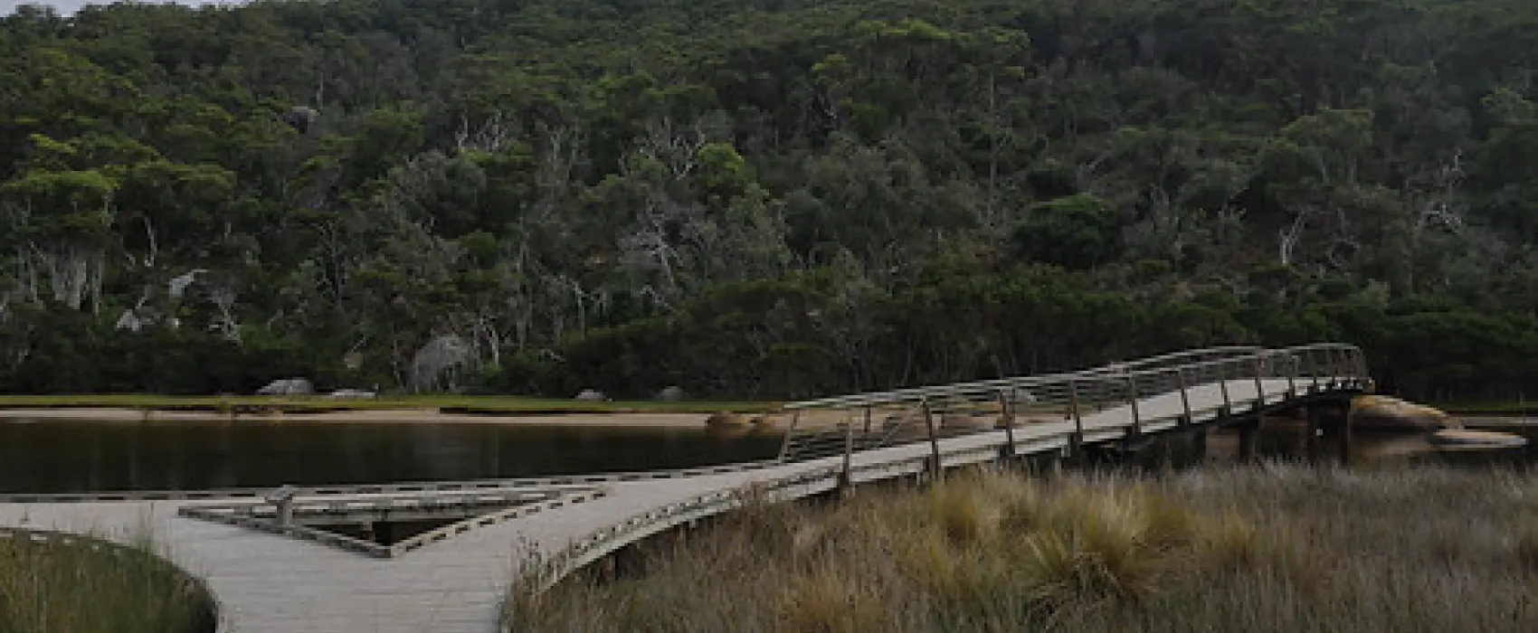 Tidal River Wilsons Promontory Campground