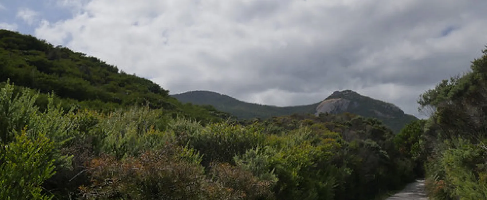 Tidal River Wilsons Promontory Campground