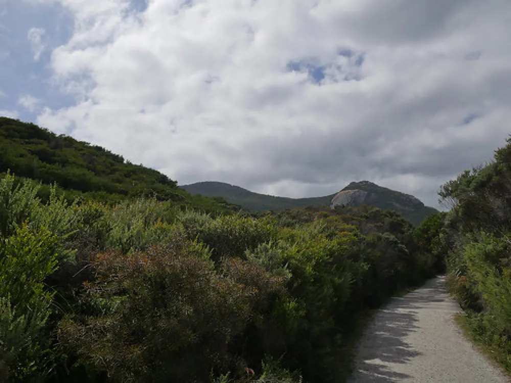 Tidal River Wilsons Promontory Campground