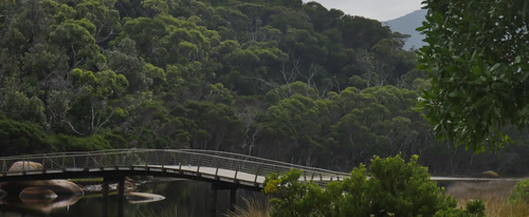 Tidal River Wilsons Promontory Campground