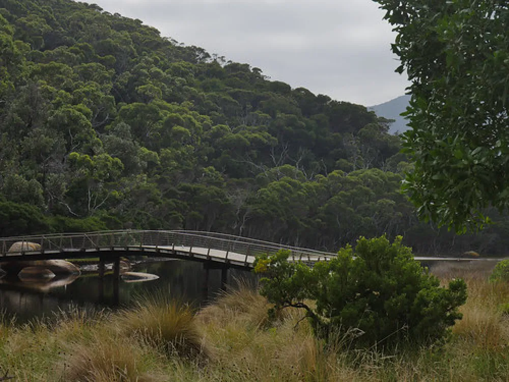 Tidal River Wilsons Promontory Campground