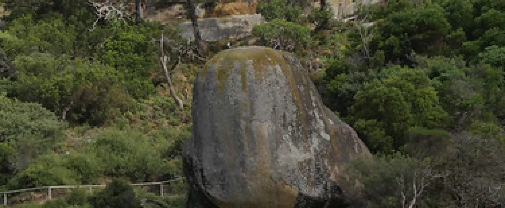 Tidal River Wilsons Promontory Campground