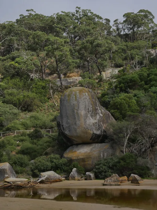 Tidal River Wilsons Promontory Campground
