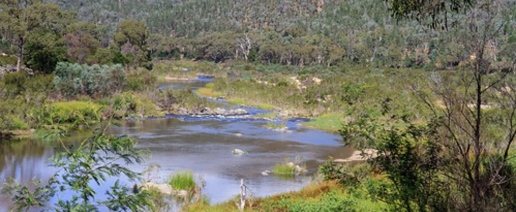 Scotchies Yard Campground