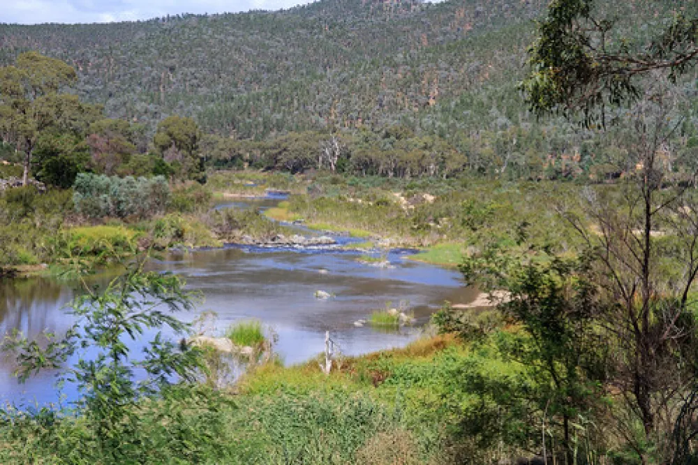 Scotchies Yard Campground