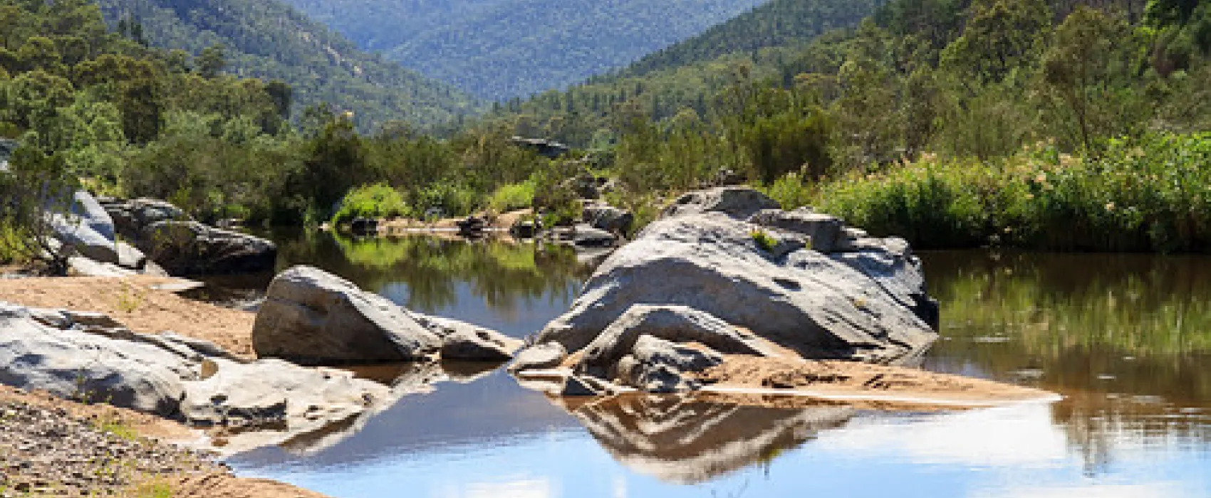 Scotchies Yard Campground