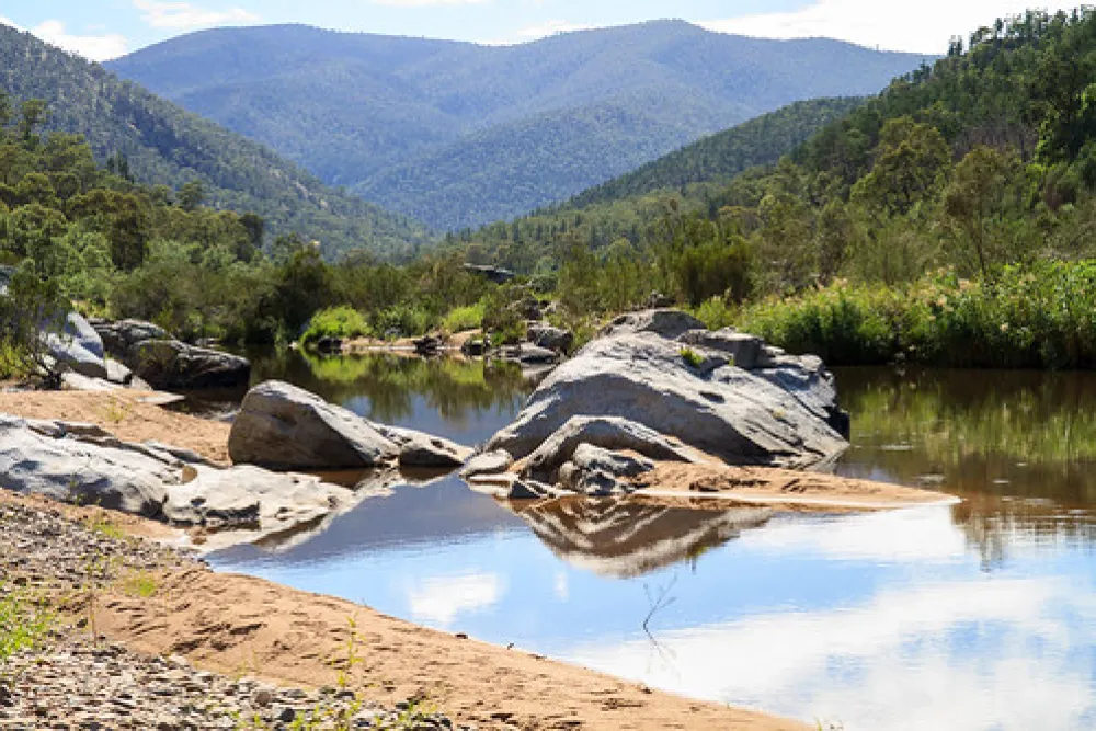 Scotchies Yard Campground