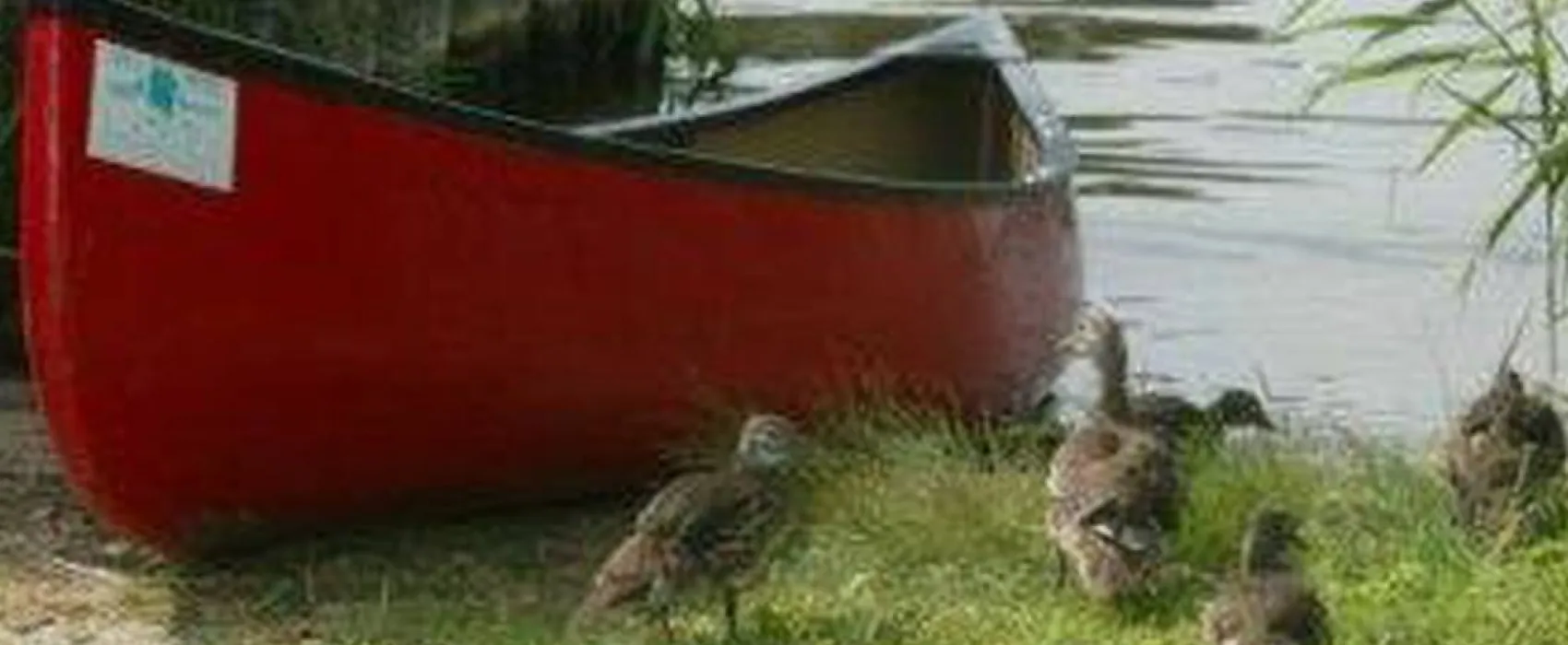 Saalerastplatz Döbritschen