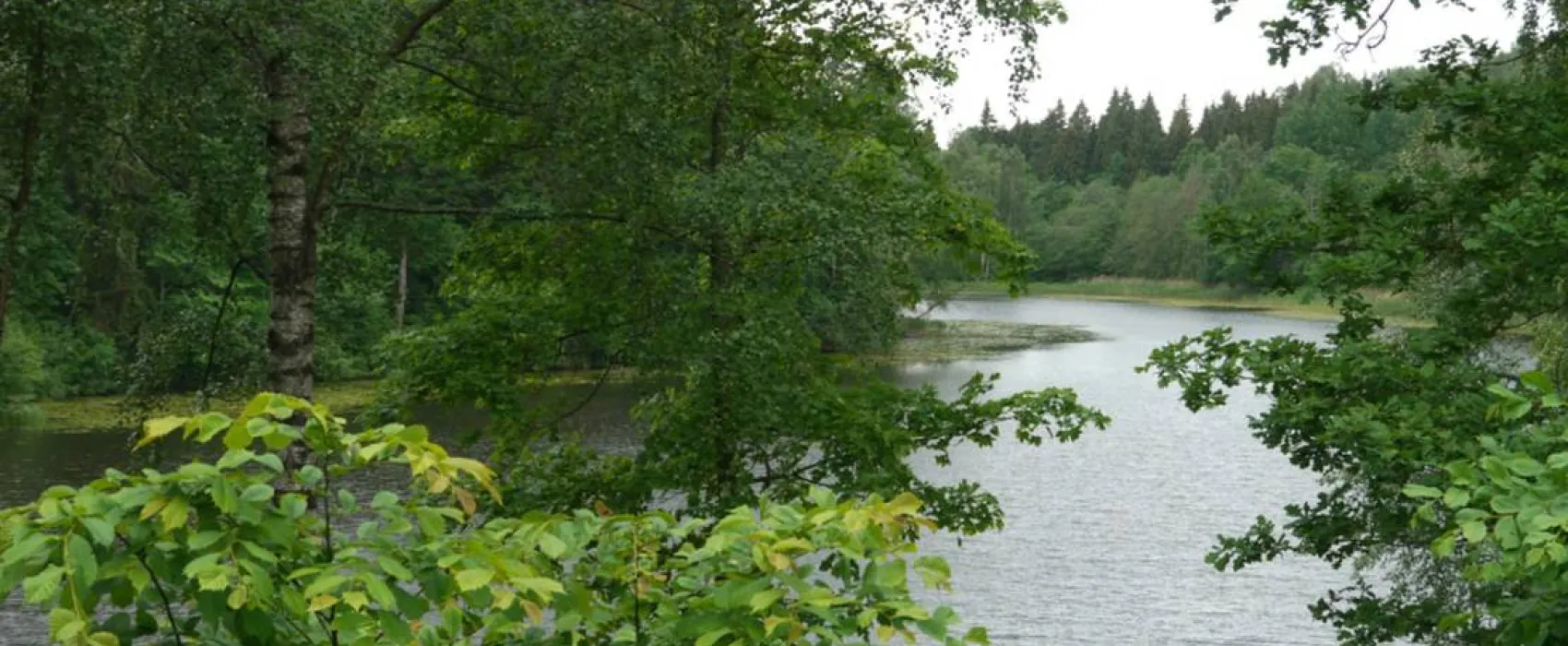 Camping Obuolių sala