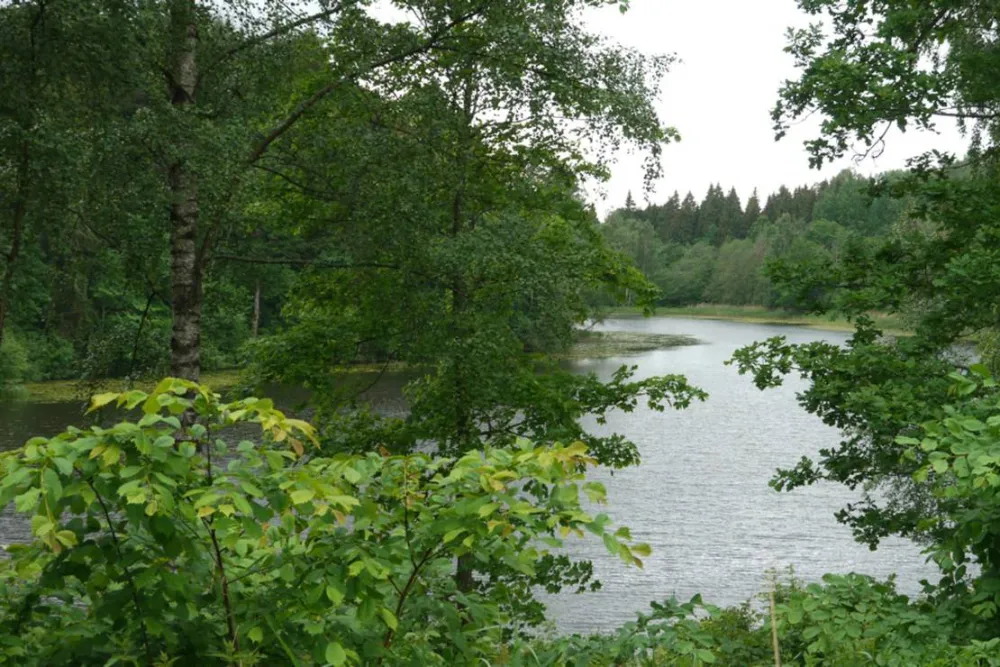 Camping Obuolių sala