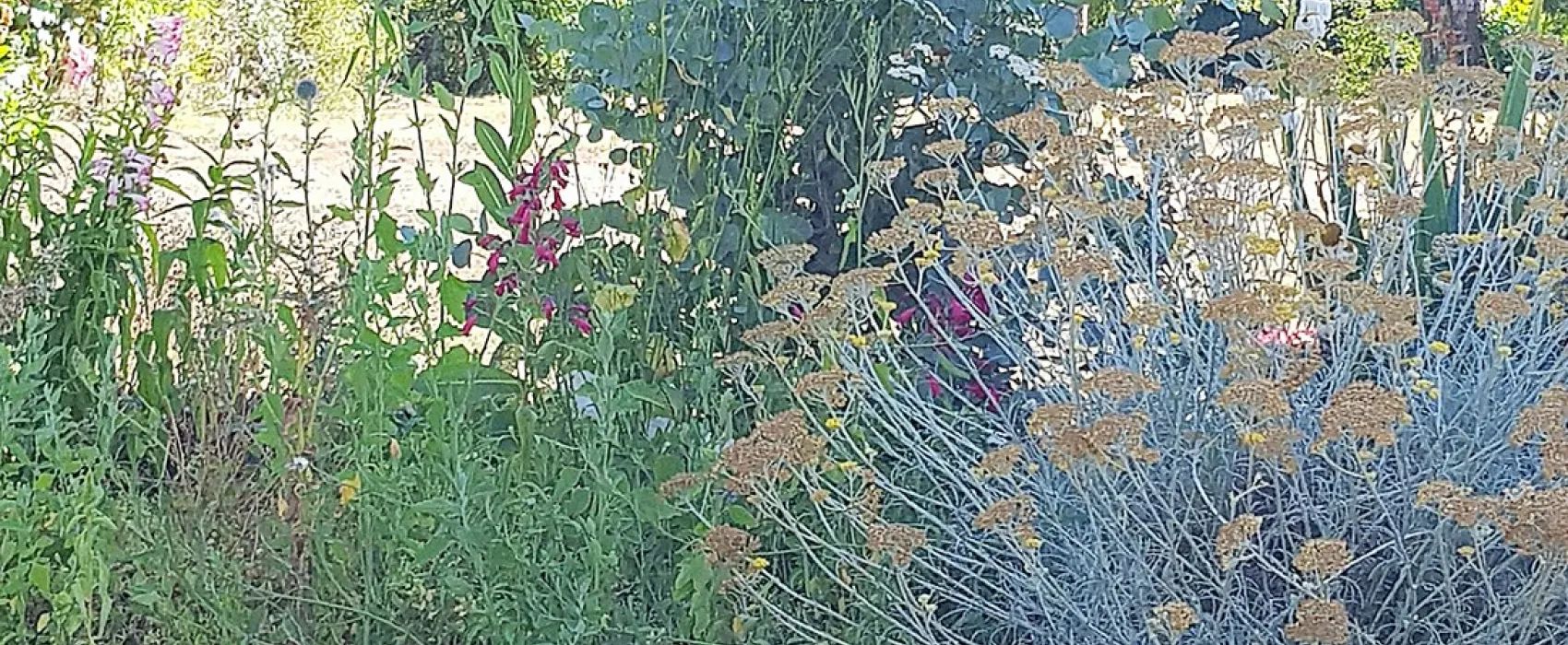 Camping Le Vieux Moulin