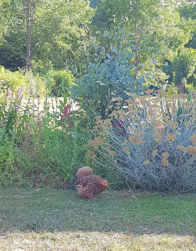 Camping Le Vieux Moulin