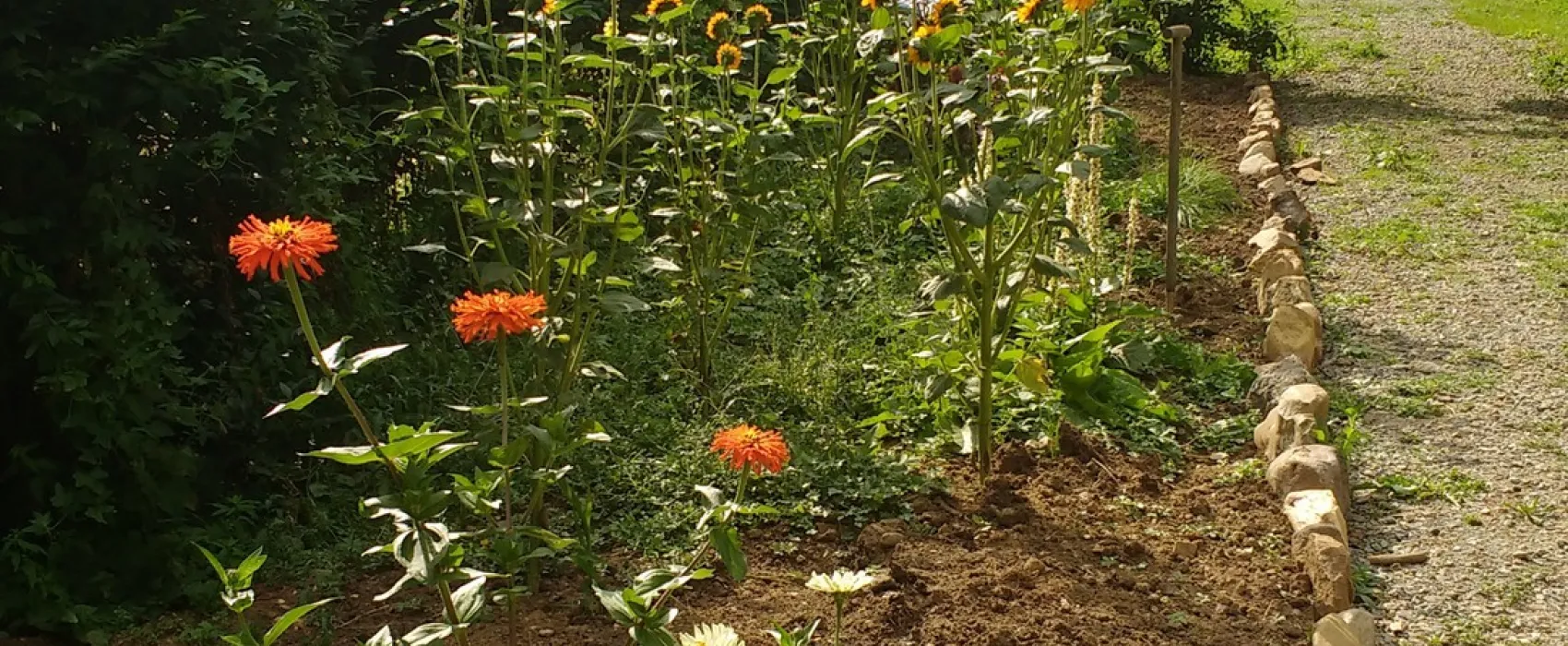 Camping Le Vieux Moulin