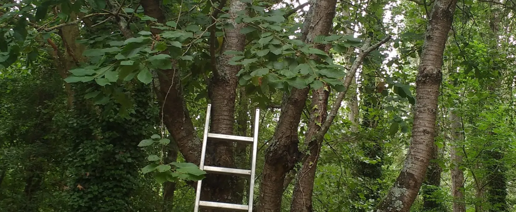 Camping Le Vieux Moulin